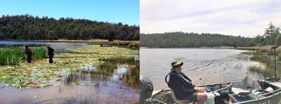 Before and after shots of the area treated by manually slashing at Four Springs Lake. Anglers Alliance Tasmania executive member John Broomby admiring the work.
