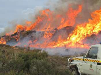 An image of fire, a tanker and fire fighters attending a large blaze near Miena in Tasmania's central highlands.