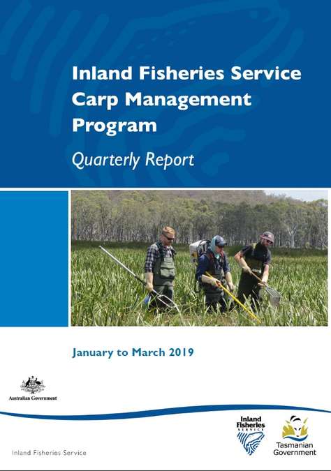 An image of the front cover of the Carp Management Program Quarterly Report for January to March 2019.