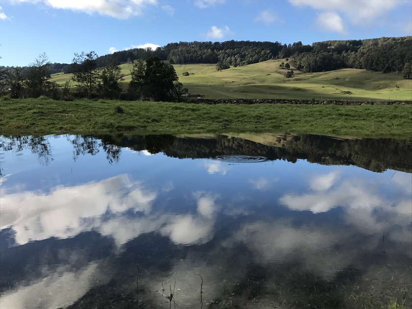 Early season fishing options