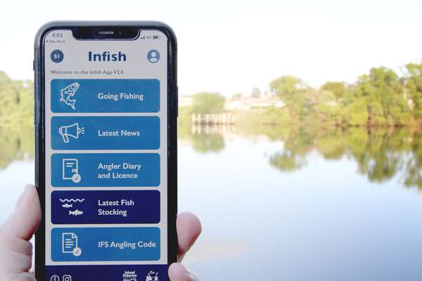 The infish app logo
