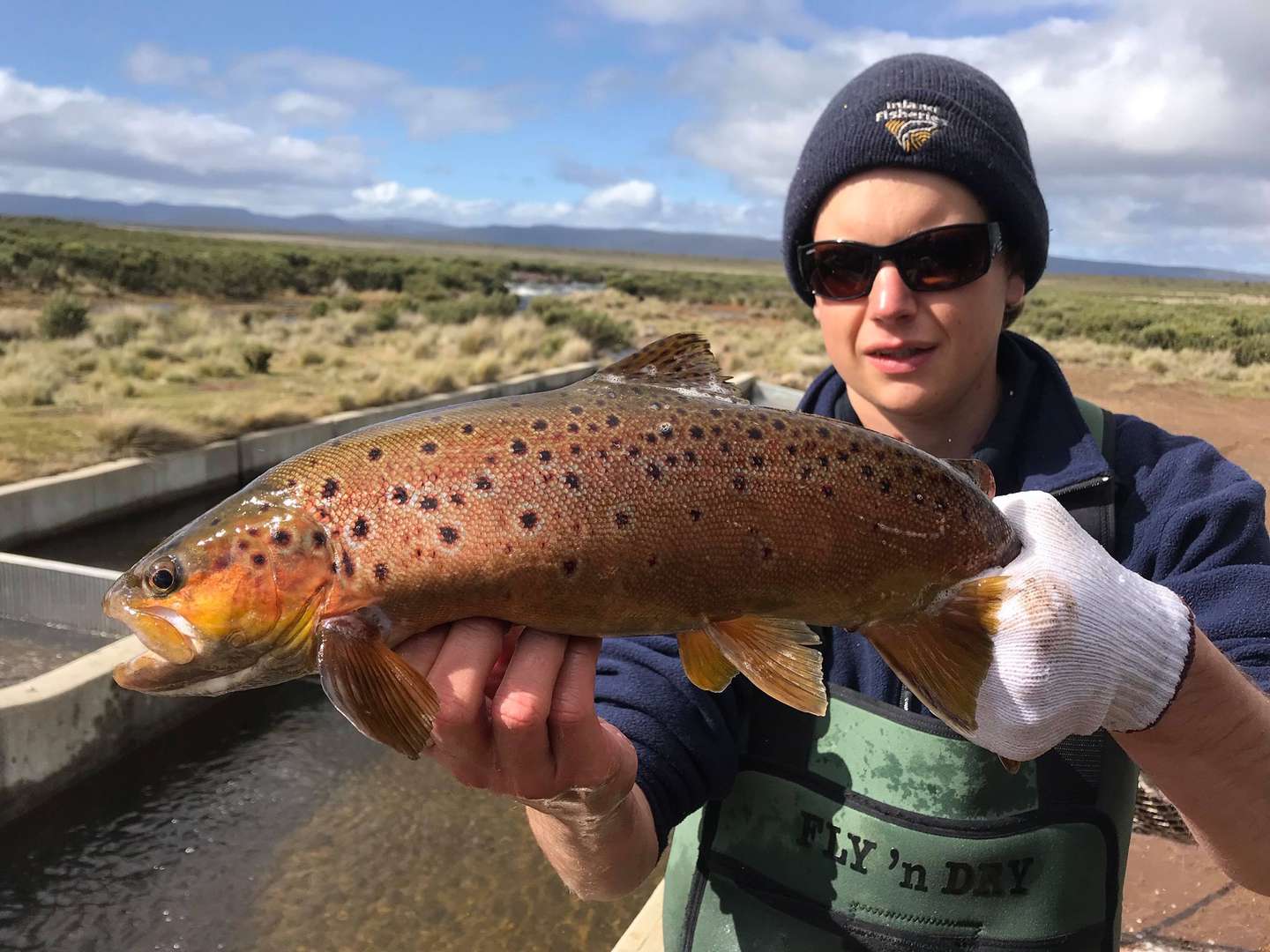 C.A.C - Centerpin Angling Loose Brown Trout Spawn