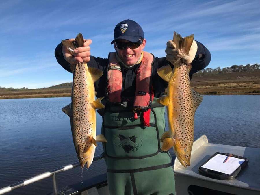 Trout fish Tasmania