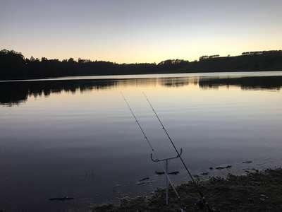 Two set fishing rods on the shore of South Riana Dam as day breaks on the opening of the 2018-19 trout season.