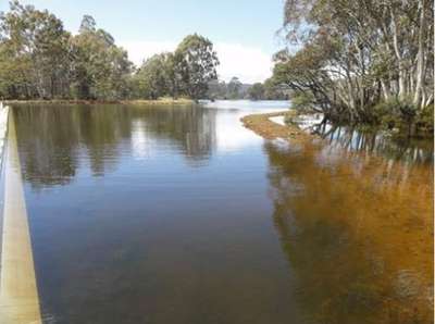 A view along the slalom course of Bradys Lake