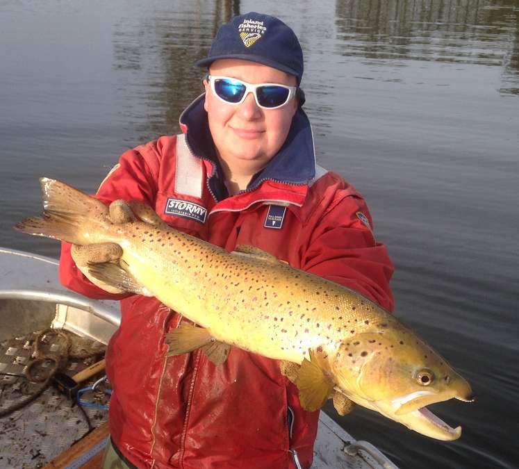 IFS Staff member, Storm Eastley with a brown trout trapped during the South Riana Dam fishery performance assessment in 2018.