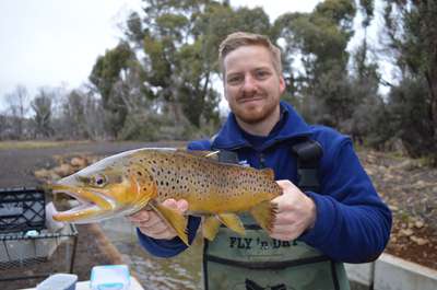 A photo of Inland Fisheries Service staff member holding a trout with a while tag located in it's adipose fin.