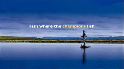 Fish where the champions fish