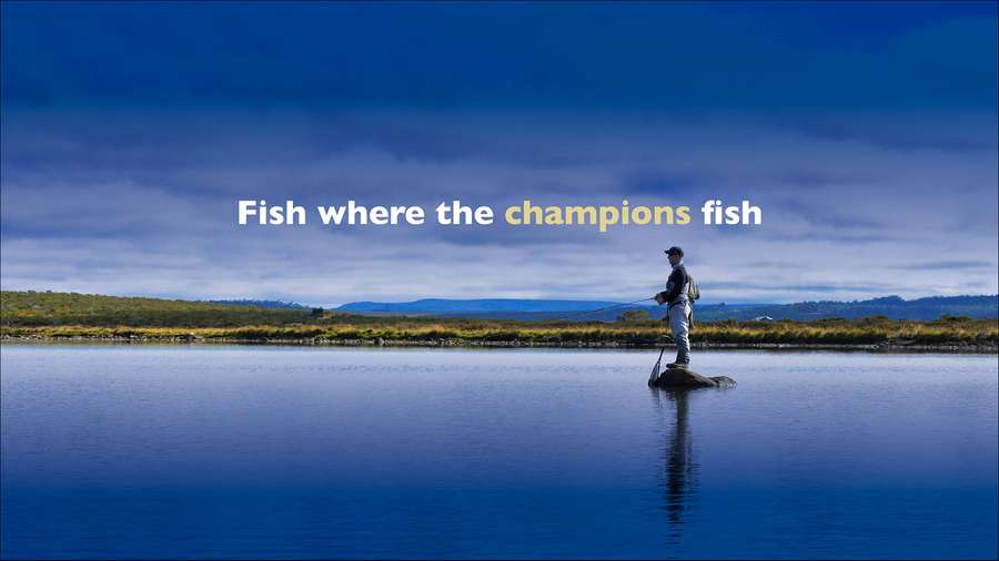 Fish where the champions fish