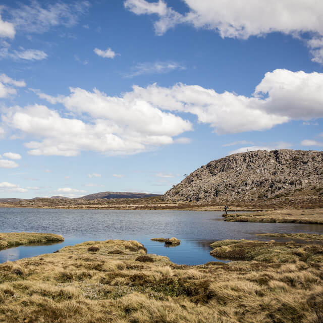 Discover why Tasmania is one of the world's premium fly fishing destinations