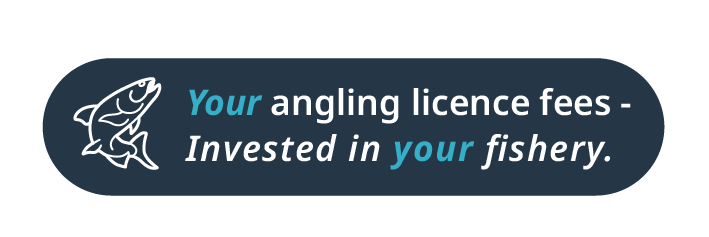 Illustration of a brown trout with the caption: Your angling licence fees - Invested in your fishery